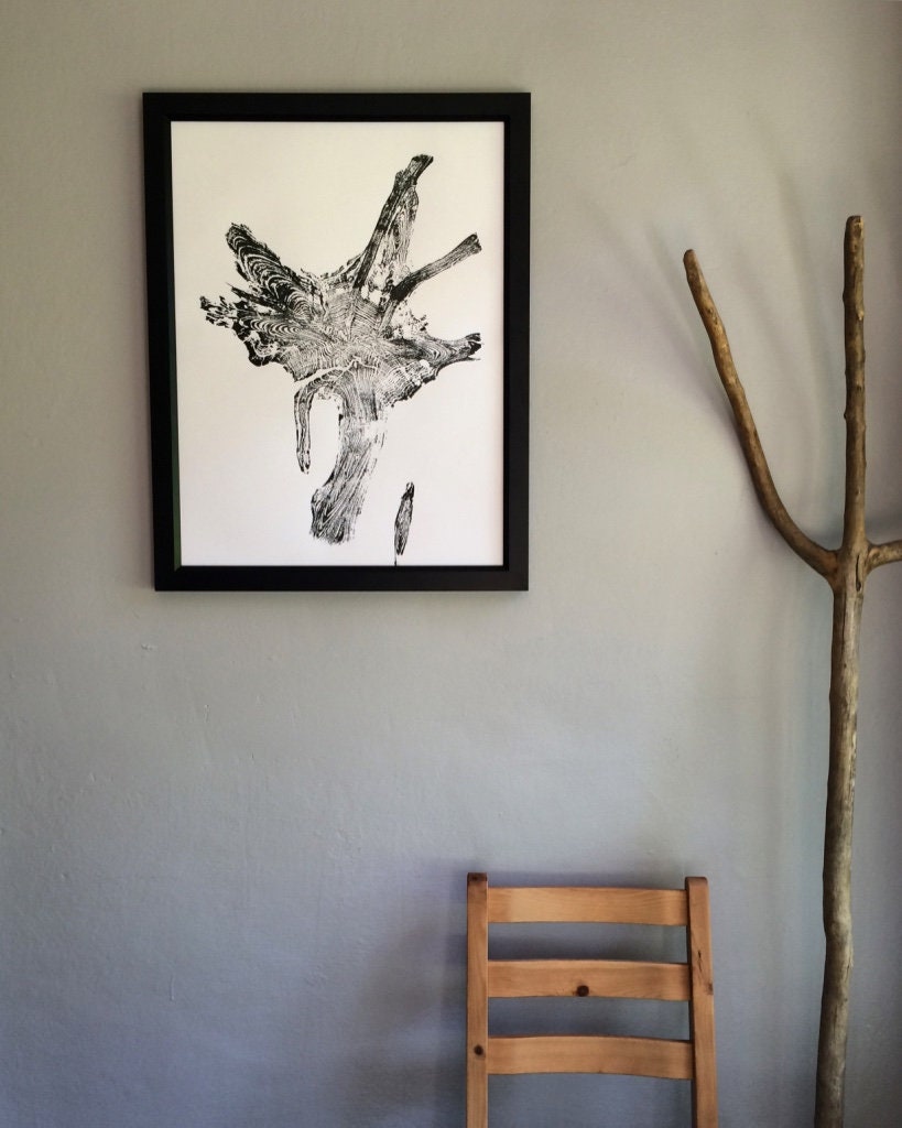 Glacier National Park art, Real Tree Roots, Tree ring print, Tree Ring art print, 18x24 inch, original woodblock, Tree root art