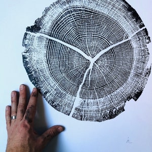 Walden Pond, Oak tree print, Tree ring print, from Walden Pond, Woodcut print, 18x24 inches