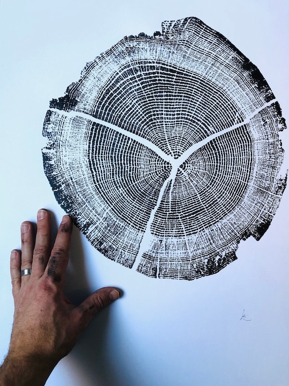 Walden Pond Oak Tree Ring Woodcut Print: Handmade Art (18x24 inches)