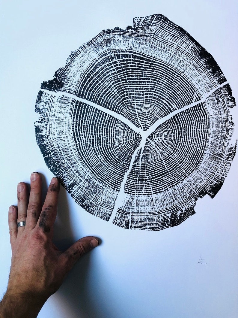 Träsnitt av ekträdsring i Walden Pond: Handgjord konst (45x61 cm) bild 1