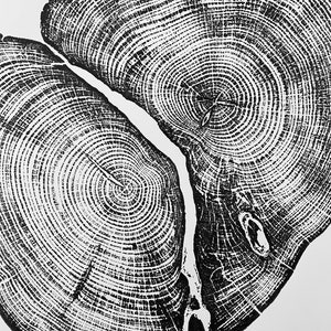 Waco Texas Cedar Tree Ring Print From Cedar Original - Etsy