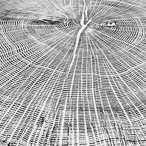 Può includere: Primo piano in bianco e nero di un motivo a venature del legno. L'immagine mostra la sezione trasversale di un tronco d'albero, con anelli concentrici e linee radiali. Il motivo è molto dettagliato e strutturato.