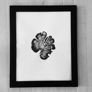 Zion National Park art, Tree Ring Print, woodcut Art, National Parks Art, Tree Ring Art Print, Woodblock print, Tree stump art