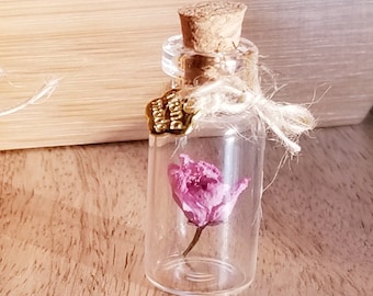 Real Cherry Blossom dehydrated terrarium message bottle