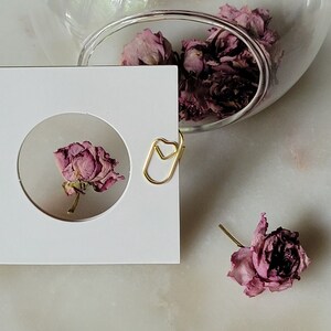 Natuurlijke inspiratie, Echte Cherry Blossom Gedehydrateerde Transparante kaart bladwijzer
