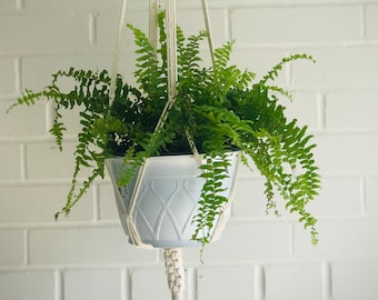 Macrame Hanging Planter