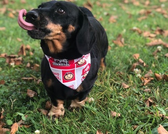 ohio state dog jersey personalized