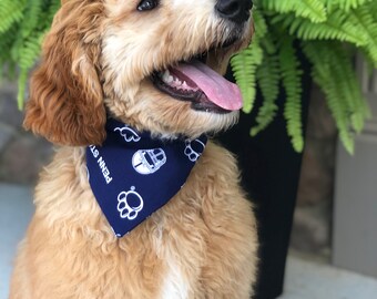 penn state dog clothes