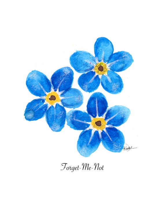 Forget Me Not Flowers, Wall Art Print, Forget Me Not Watercolor