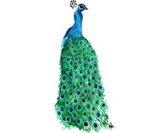 Peacock