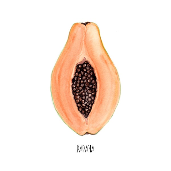 Papaya Watercolor Painting, Food Illustration, Arte de Fruta, Fruit Art, For the Kitchen, Wall Art, Home Decoration, under 10