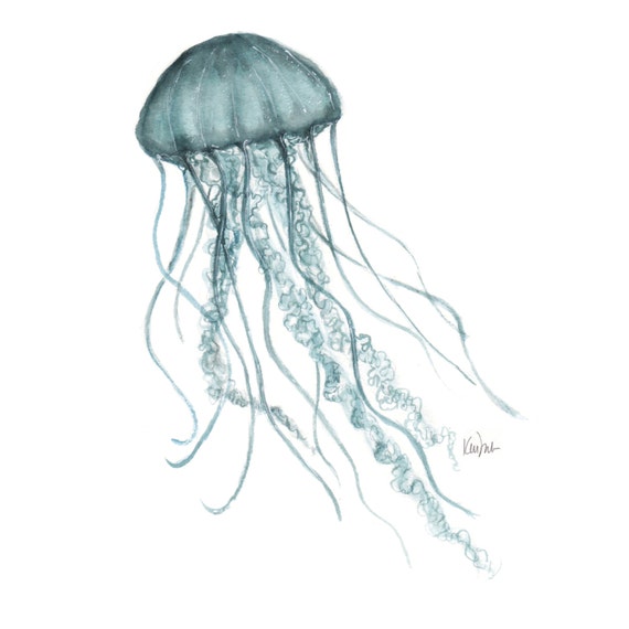 Jellyfish Watercolor Illustration Blue Jellyfish Ocean Etsy Jellyfish Watercolor Illustration Blue Jellyfish Ocean Etsy