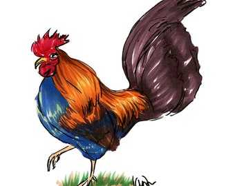 Rooster Illustration