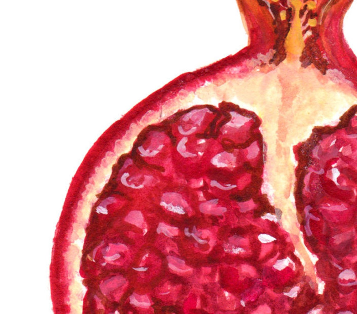 Pomegranate Watercolor Painting Food Illustration Arte De Etsy