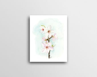 Almond Tree Flower