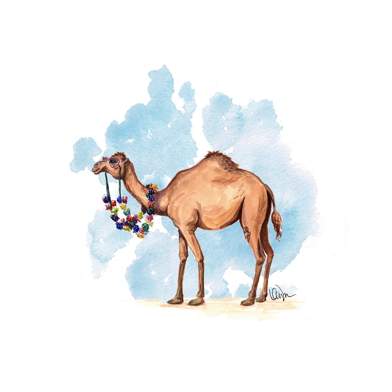 Camel illustration