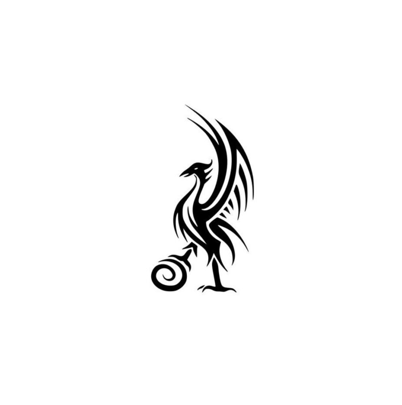 liverpool football club liverbird vinyl sticker decal | etsy