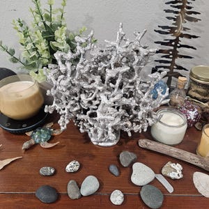 May include: A silver-colored, abstract sculpture resembling coral sits on a wooden surface, surrounded by decorative elements. Small, smooth stones of various colors and shapes are scattered in front. Candles, plants, and a glass turtle add to the display.