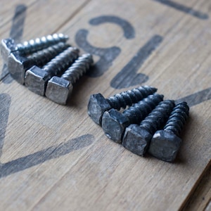 Hand Forged Rustic 1&quot; x 1/4&quot; Screws Fasteners
