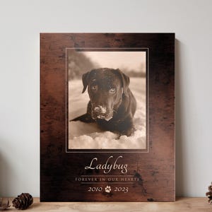 Forever in our hearts, Personalized Pet Memorial, Sympathy Gift for Pet Loss, Tribute Plaque for Pet, Eulogy Plaque, In Loving Memory of Pet