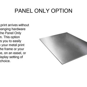 May include: A silver metal panel, the 'Panel Only Option' for displaying artwork. The text describes how this option allows for easy placement of the metal print into a frame, on an easel, or in a display setting.