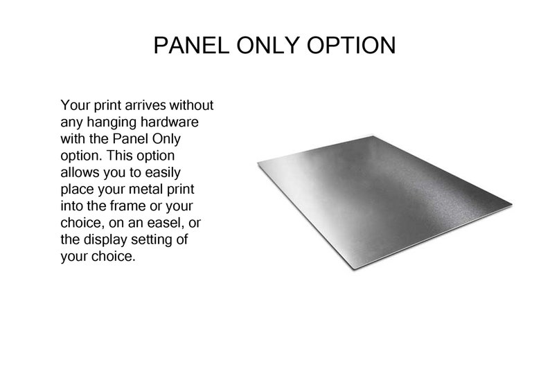 May include: A silver metal panel, the 'Panel Only Option' for displaying artwork. The text describes how this option allows for easy placement of the metal print into a frame, on an easel, or in a display setting.