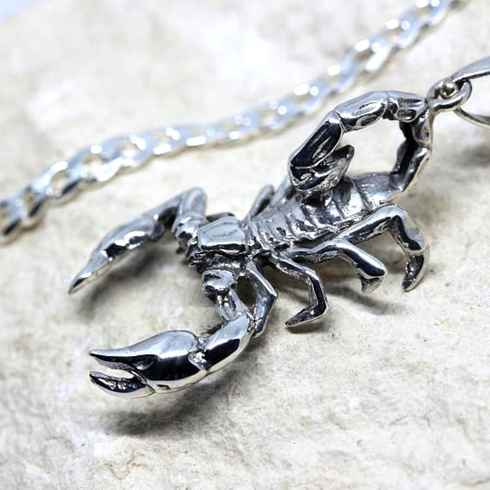 Sterling Silver Scorpion Necklace. Silver Scorpion Necklace. Etsy