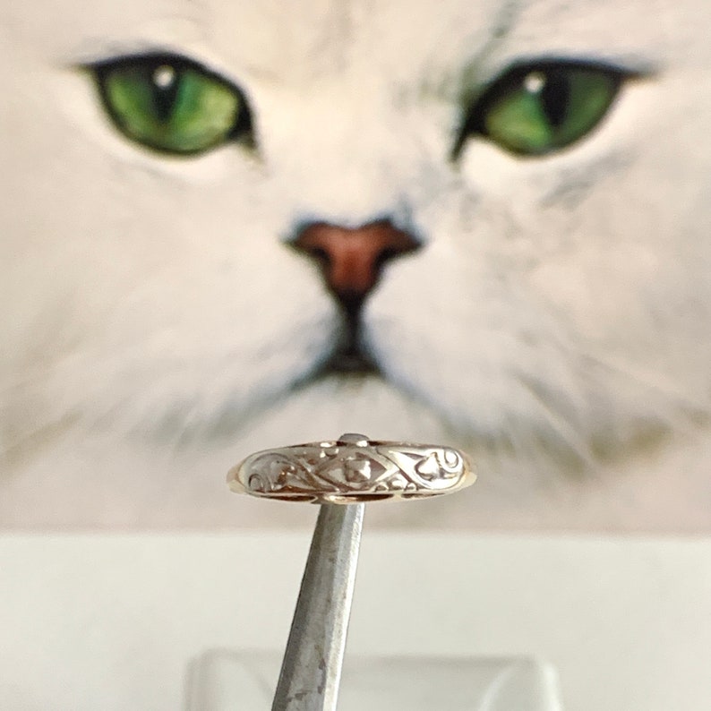 May include: A gold ring with an intricate design, featuring a central diamond-shaped stone. The ring is held by a pair of tweezers against a blurred background of a white cat's face.