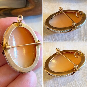 Puede incluir: Un broche de camafeo de oro con un camafeo de concha engastado en un marco de oro y acentuado con perlas. El broche tiene un cierre de pin.