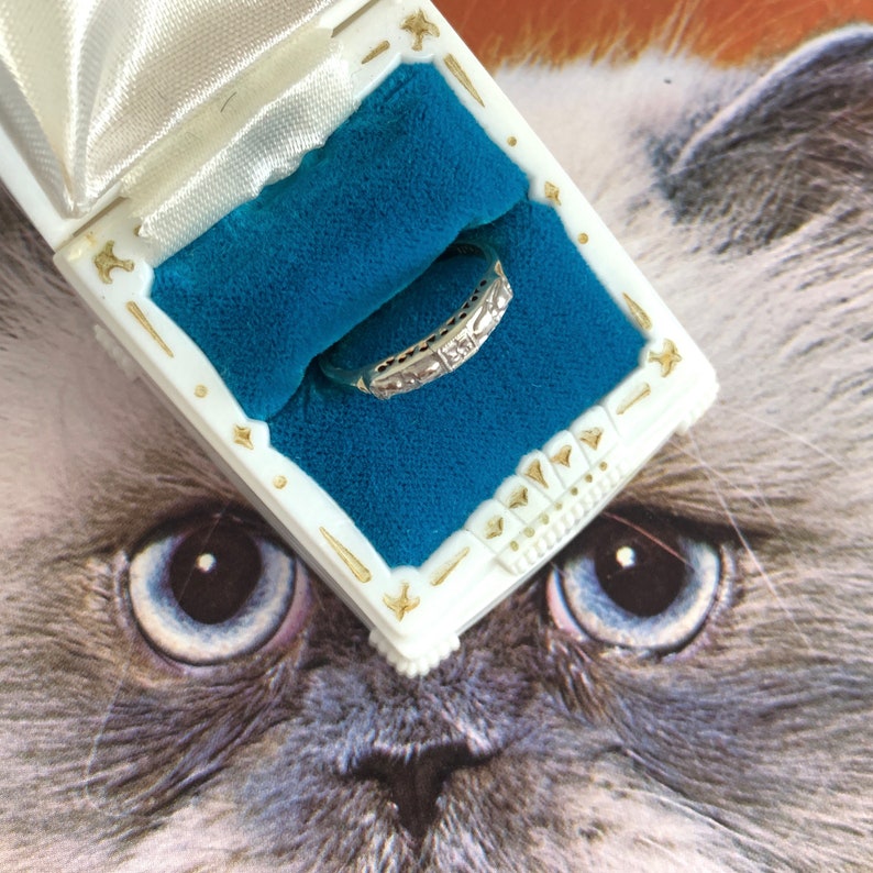May include: A silver ring with a series of small, clear stones set in a decorative band, displayed in a white and gold jewelry box with a blue velvet interior. The ring is the focal point, presented against a background of a cat's face.