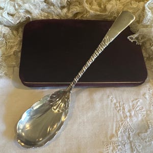 May include: A silver serving spoon with a twisted handle and a shell-shaped bowl. The spoon is resting on a white surface with a dark purple velvet box in the background. The spoon's design is ornate and elegant.