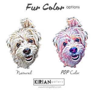 May include: Two images of a dog with a topknot. The first image shows the dog in natural colors. The second image shows the dog with a pop art color scheme. The text "Fur Color options" is at the top of the image. The text "Natural" is below the first image. The text "POP Color" is below the second image. The text "KIRIANgallery" and "www.kirian gallery.com" is at the bottom of the image.
