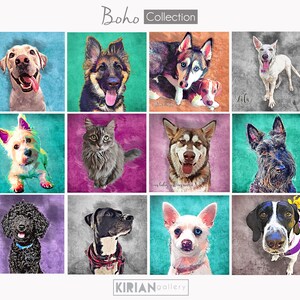 May include: A collage of 12 colorful digital paintings of dogs and a cat. Each image is framed with a textured background. The title "Boho Collection" is at the top of the collage.