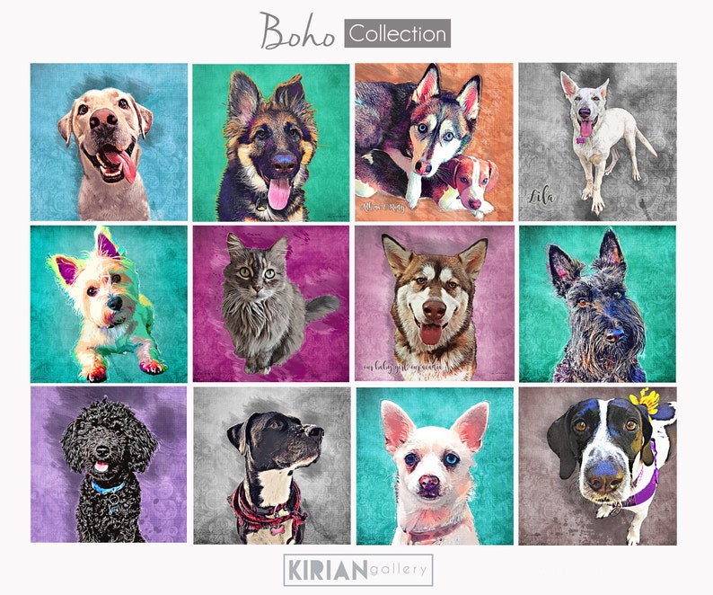 May include: A collage of 12 colorful digital paintings of dogs and a cat. Each image is framed with a textured background. The title "Boho Collection" is at the top of the collage.