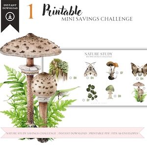 Nature Study Mini Savings Challenge | Low Budget Challenge | Low Income Savings | Fits A6 Envelope | Save 55 | PDF Download Only