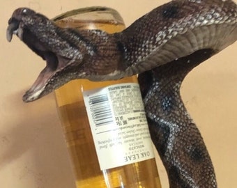 Rattlesnake wine holder beautifully painted.