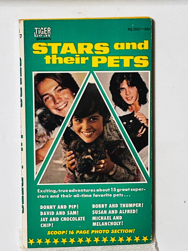 Tiger Beat (you Pick) Vintage Paperback Biographies Secret Lives of(00)