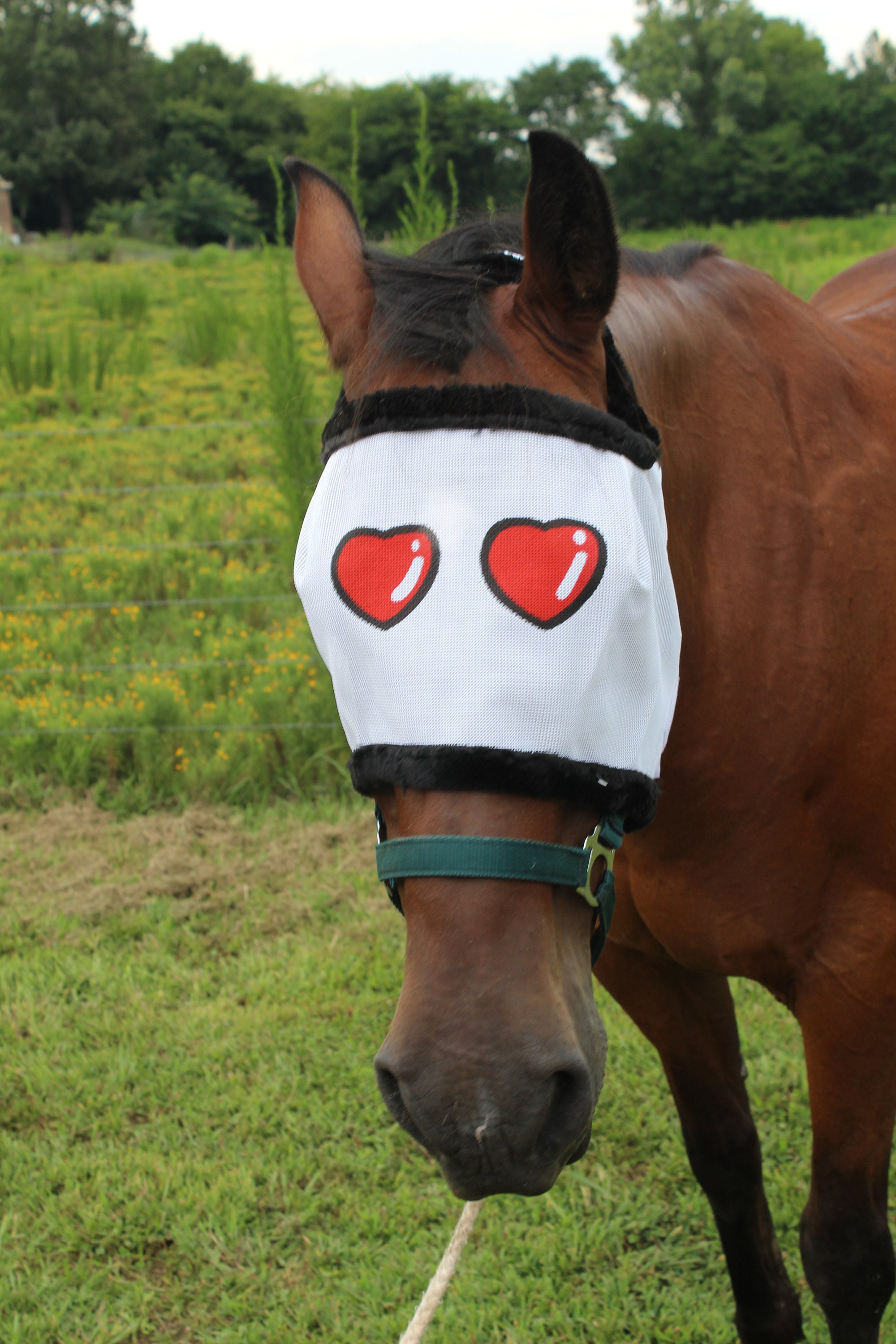 Funny Horse Fly Mask Heart Lover eyes funny horse tack lover | Etsy