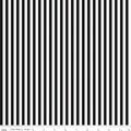 SALE Black and White 1/4 Quarter Inch Stripe by Riley Blake Designs - Quilting Cotton Fabric