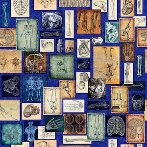 May include: A collage of vintage anatomical illustrations featuring various bones, organs, and skeletal structures. The images are in shades of brown, blue, and white, and are arranged in a grid pattern on a blue background.