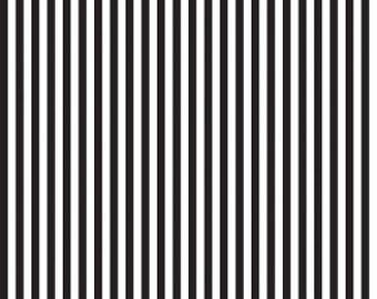 SALE Black and White 1/4 Quarter Inch Stripe by Riley Blake Designs - Quilting Cotton Fabric