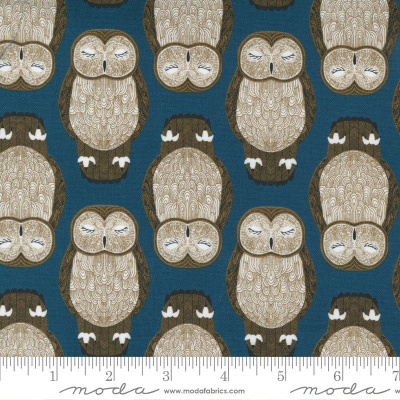 Nocturnal Sleeping Owls 48332 Lake - Moda Fabrics - Bird Birds Owl on Turquoise - Quilting Cotton Fa