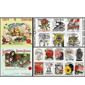SALE Sewing Seeds III Panel Bundle 3 Pieces by Riley Blake Designs - Pre cut Precut - Quilting Cotton Fabric