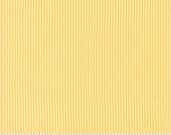 Shine Stripes 55677 Sun - Moda Fabrics - Novelty Lines Stripe - Quilting Cotton Fabric
