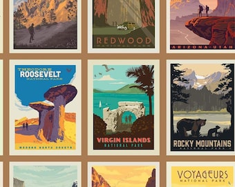 National Parks Posters Sand - Riley Blake Designs - Outdoors Recreation Brown - Quilting Cotton Fabric - choose your cut