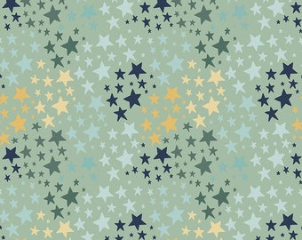 SALE FLANNEL It's a Boy Stars F13904 Sage - Riley Blake Designs - Star - FLANNEL Cotton Fabric