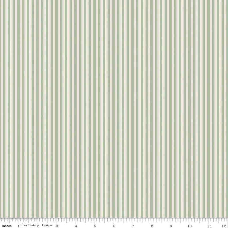 Image of the 1/8 Inch Stripe on Ivory Sage quilting cotton fabric by Riley Blake Designs. Features ivory and light green stripes. 
Cute Little Fabric Shop