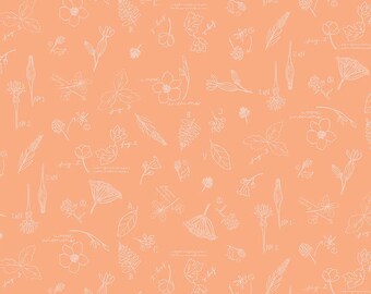 SALE Wildwood Wander Sketchbook C12432 Peach - Riley Blake Designs - Line-Drawn Flowers Floral Text - Quilting Cotton