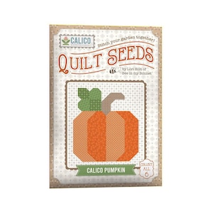 May include: A quilting pattern for a pumpkin, part of the Calico Quilt Seeds collection by Lori Holt of Bee in my Bonnet. The pattern features a patchwork design with orange, green, and brown fabric.