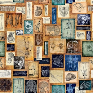 May include: A vintage-style collage featuring anatomical illustrations of the human body. The collage includes images of bones, organs, and the skeletal system. The images are in shades of brown, blue, and white, and are arranged in a grid pattern on a beige background.